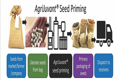 Seed priming mechanism
