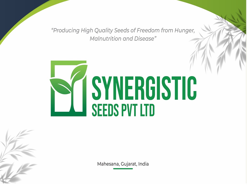 Synergistic Seeds team and consortium